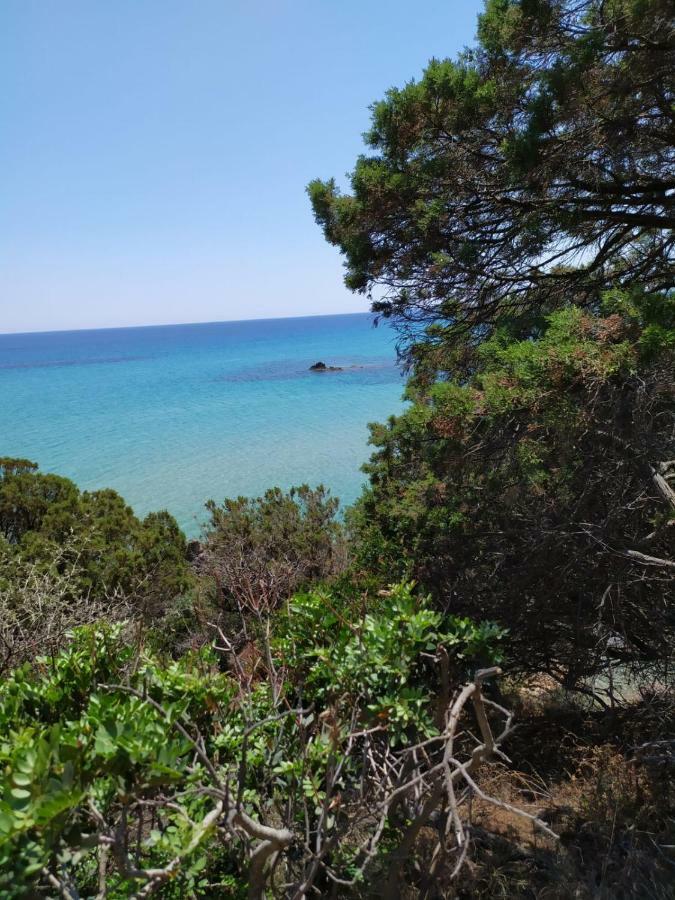 Albeldi' Hotell Domus De Maria Exteriör bild